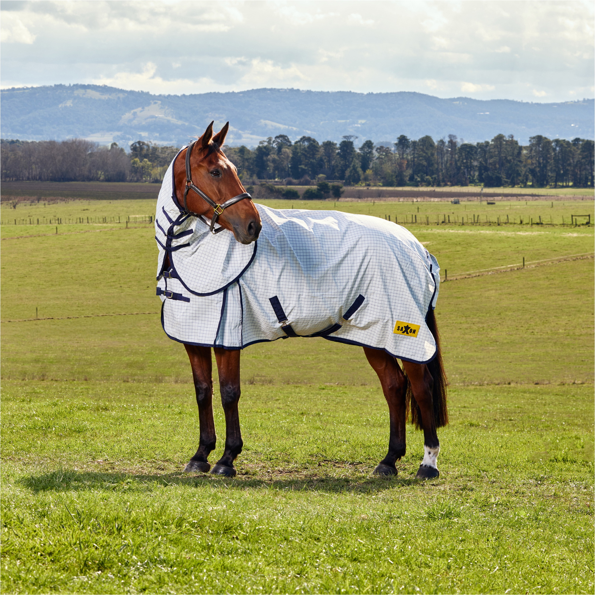 2026 Saxon Kool Coat Classic With Surcingles Combo Turnout Rug 1029980 - White / Navy